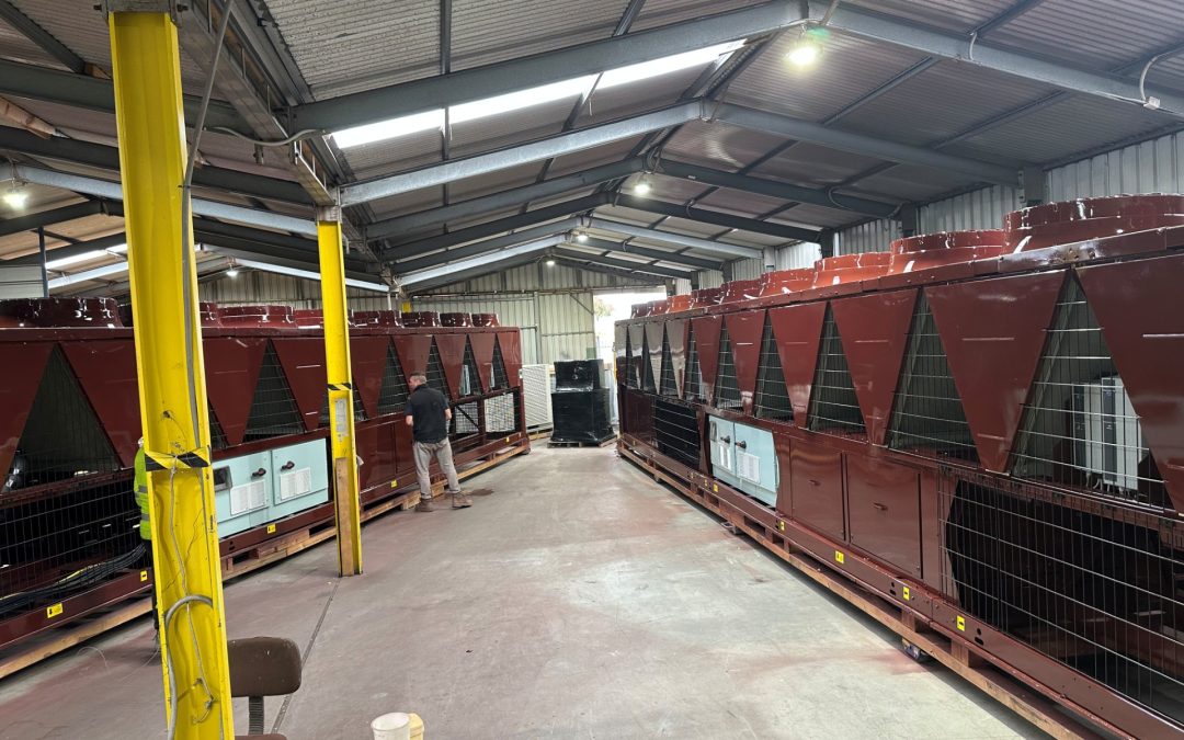 Blygold Newsletter – December 2025